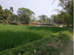Picture of Land for Sell in Mymensingh