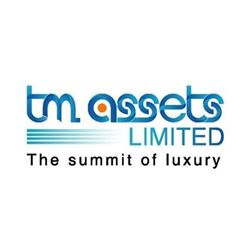 Logo of TM Assets Limited