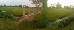 Picture of Land for Sale at Jamalpur Town Bypass Road, near under-construction Medical College Campus