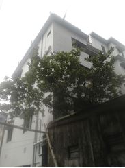 Picture of 600 sqft apartment ready for rent at Paltan