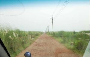 Flat sale in bashundhara d block image