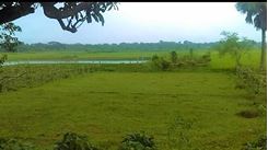 Picture of 5.9 katha land for sale at Lalbagh , Munda , Uttarkhan
