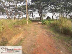 Picture of 3 Katha North Facing Boundary Wall Complete Plot for Sale @ L-Block