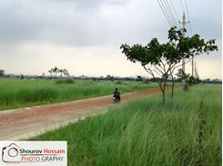 Picture of 8 Katha North Face Plot available for sale @ M-Block close 300ft