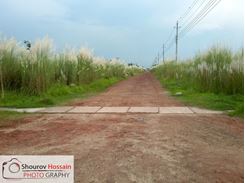 M-Block 4 Katha South Face Plot Sale with low price close Madani Avenue  এর ছবি