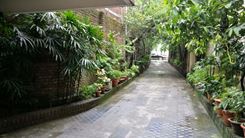 Picture of 3 bed Flat between Dhanmondi Field and Lake for rent!!