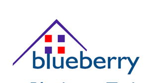 Logo of Blueberry Technology & Ideas Ltd
