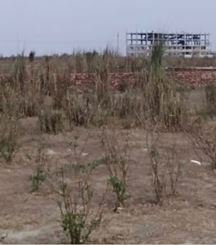 Picture of 5 katah Land for Sale in Bashundhara R/A