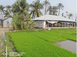 Picture of 24 Katha Plot For Sale In Pabna 