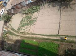 Picture of Residential and Commercial Plot in Chandar Nagar Bazar, Textile Chittagong