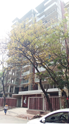 Picture of 4700 sqft Apartment for Sale at Dhanmondi 