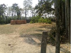 Picture of Urgent Land For Sale, Khulna