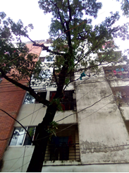 Picture of 1350 Sft Apartment For Rent At Khilgaon