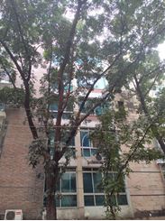 Picture of 1440 Sft Apartment For Sale, Gulshan 1
