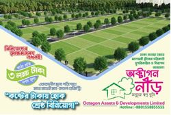 Logo of Octagon Asset & Development Ltd
