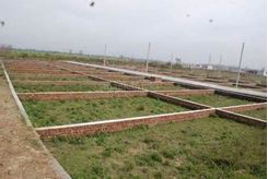 Picture of  20 Khatha Land for Sale at Banasree.