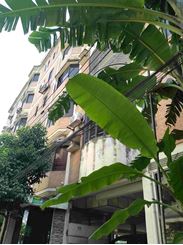 Gulshan-1.semi furnished 3000sq fit flat for rent এর ছবি