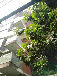 Baridhara 4000sq fit semi furnished flat for rent এর ছবি