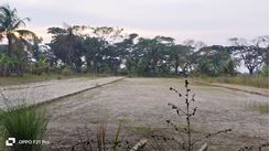 Picture of Land For Sale Near Khulna Bypass Road