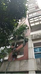 Picture of Banani 2500sft full furnished flat for rent