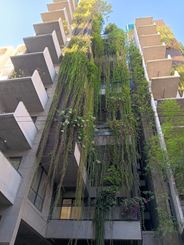 2300sft, Furnished apartment for rent, Gulshan 1 এর ছবি