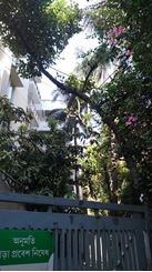 2500sft, Full furnished apartment for rent, Gulshan 2 এর ছবি