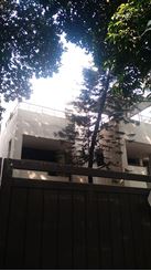 6500 sft Independent House rent in Baridhara এর ছবি