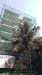 Buy Apartment 2700 sft in Mohakhali DOHS   এর ছবি