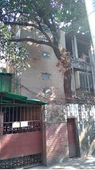 2000sft Apartment for Office at Gulshan-1 এর ছবি