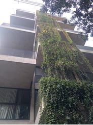 Picture of 3700sft Apartment For Rent at  Banani