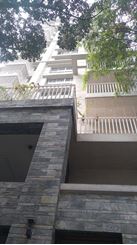 Picture of 4200 sft Semi furnished Apartment rent in Banani