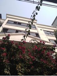 Picture of 3300 sft Apartment for office rent in Banani