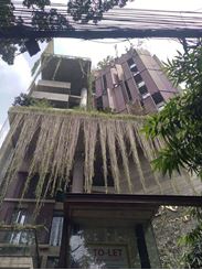 5000 sft Furnished Apartment for rent at Gulshan-2 এর ছবি