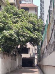 4400 sft Duplex Apartment for rent at Gulshan-2 এর ছবি