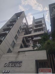 4200 sft Residential Apartment for rent at Baridhara এর ছবি
