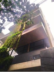3800 sft Residential Apartment for rent at Banani এর ছবি
