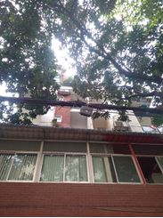2100 sft Full Furnished Apartment for Rent at Banani এর ছবি