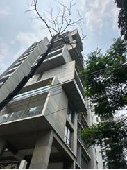 4900 Sft Residential Apartment for Rent at Gulshan-2 এর ছবি