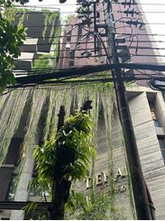 Picture of 5000 sft Semi- Furnished Apartment For Rent at Gulshan-2