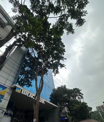 2872 sft Commerial Space for Rent at Gulshan-2 এর ছবি