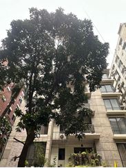 3500 sft Full Furnished Apartment For Rent at Gulshan-2 এর ছবি
