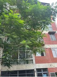 6000sft Duplex Apartment for Rent at Baridhara এর ছবি