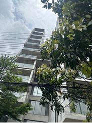 3800 sft Residential Apartment for rent at Baridhara এর ছবি