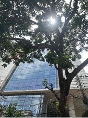 Picture of 4300 sft Commercial Space for Rent at Dhanmondi